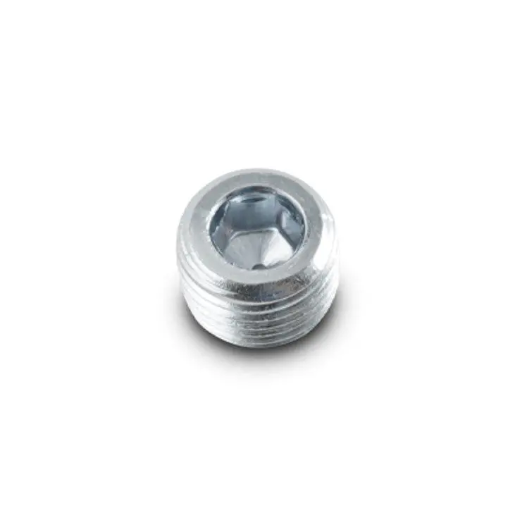 Egt Sensor Bung Plug 1