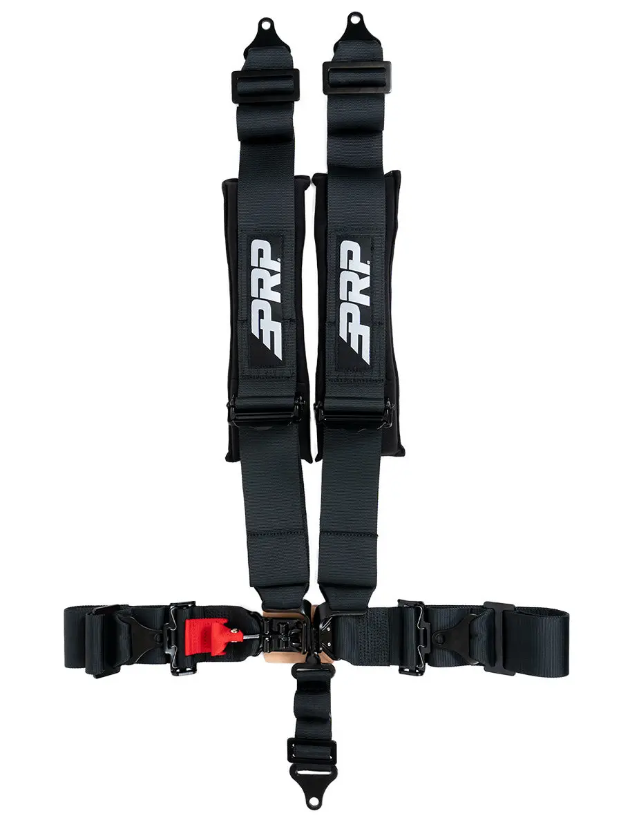 Prp 5.3 Custom Harness (Sfi 16.1) 1