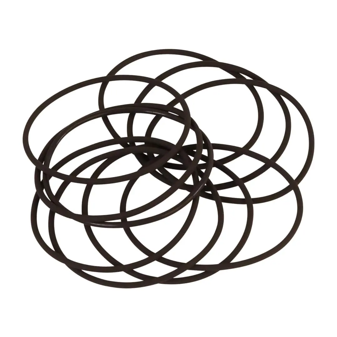 2" Filter Body 10-Pack Replacement O-Rings 1