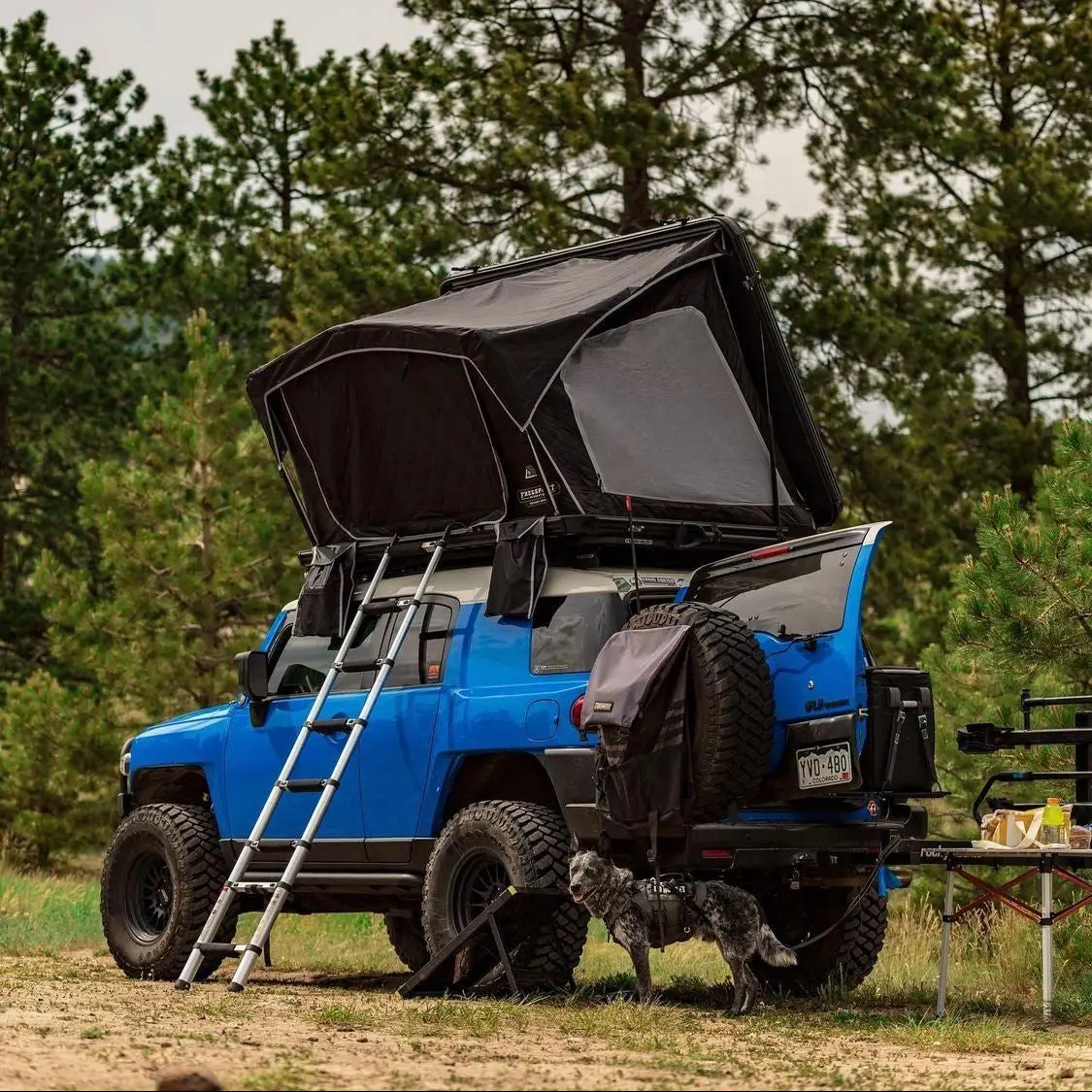 Freespirit Recreation Odyssey Series Hard Top 55" Roof Top Tent W/ Black Top 1