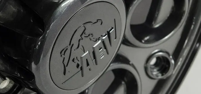 Replacement Aev Center Cap For Katla/Salta Hd 1