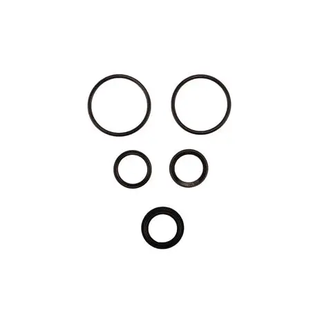 Radflo Seal Kit 2.0 7/8″ Emulsion 1
