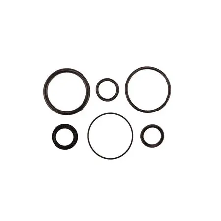 Radflo Seal Kit 2.5 7/8″ Ifp 1