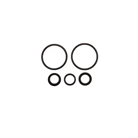 Radflo Seal Kit 2.0 5/8″ Ifp 1