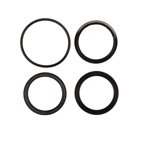 Radflo Seal Kit 2.5 1.625″ 1