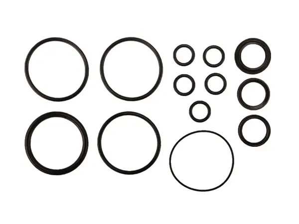 Radflo Seal Kit 2.5 7/8″ With Remote And Bypass Includes Piston O Ring 3/4″ Od Tubes 1