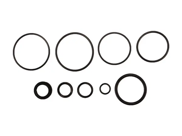 Radflo Seal Kit 3.0 7/8″ With 2.5 Remote And Adjuster 1